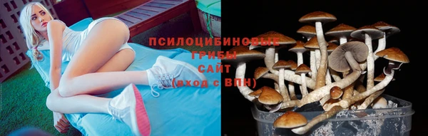 мяу мяу мука Инта