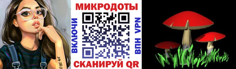 Псилоцибиновые грибы GOLDEN TEACHER  где можно купить наркотик  Тимашёвск 